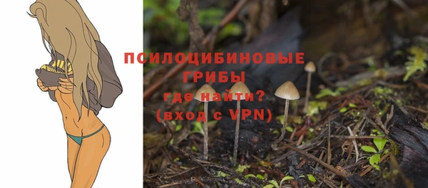 соль ск Баксан