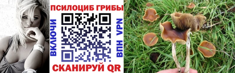что такое наркотик  Кущёвская  Галлюциногенные грибы Cubensis 